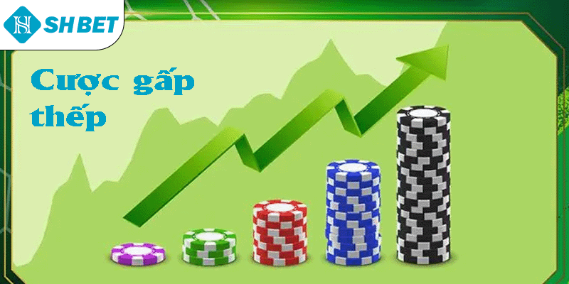 ảnh đại diện cược gấp thếp