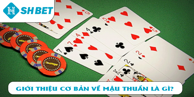 Giới thiệu cơ bản về Mậu Thầu là gì