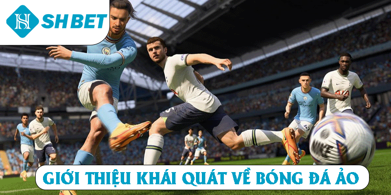 Giới thiệu khai quát về bóng đá ảo