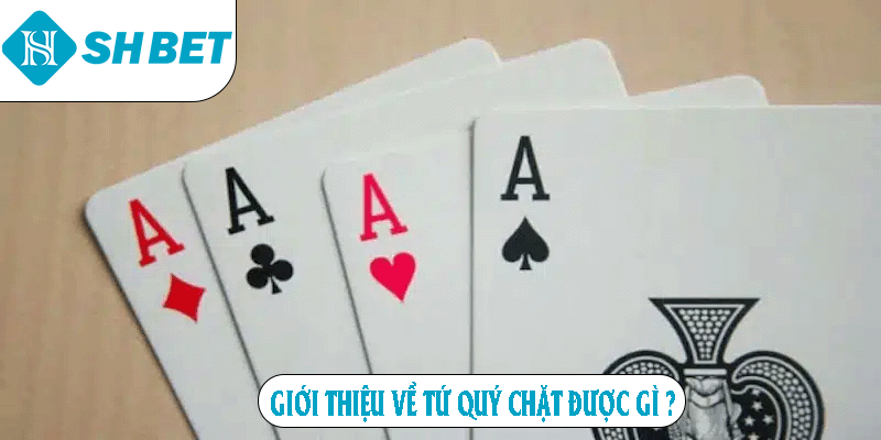 Giới thiệu về tứ quý chặt được gì