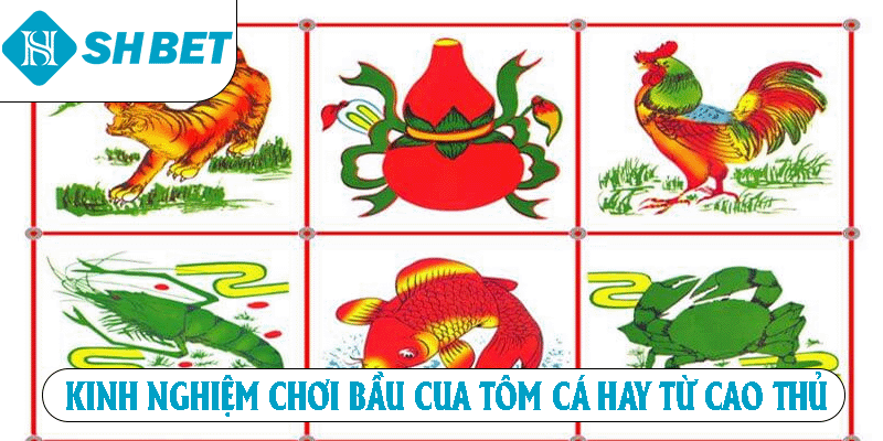 Kinh nghiệm chơi Bầu Cua Tôm Cá hay từ cao thủ