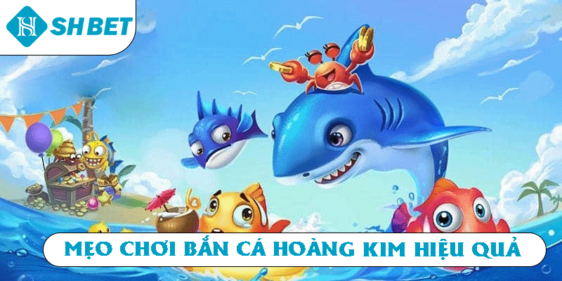 Mẹo chơi Bắn Cá Hoàng Kim hiệu quả