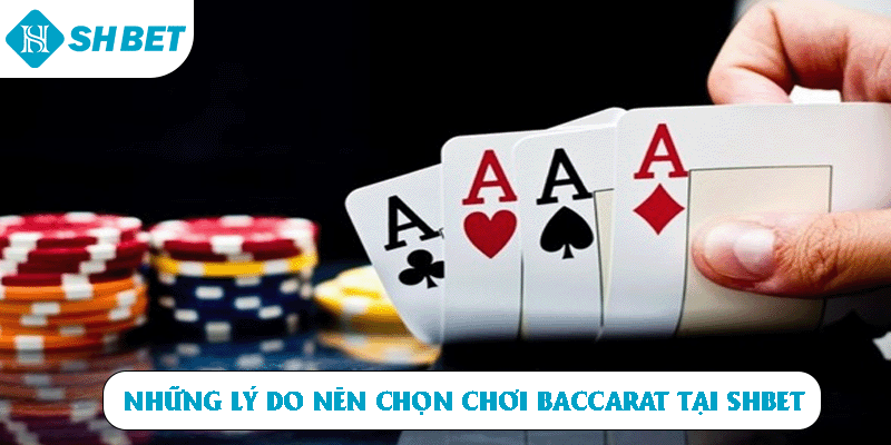 Những lý do nên chọn chơi Baccarat tại SHBET