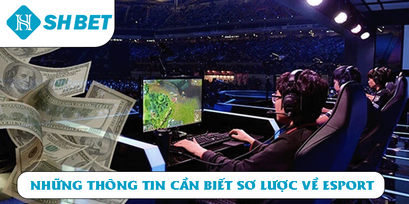 Những thông tin cần biết sơ lược về Esport