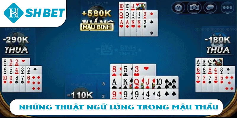 Những thuật ngữ lóng trong Mậu Thầu