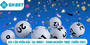 ảnh đại diện soi cầu miền bắc