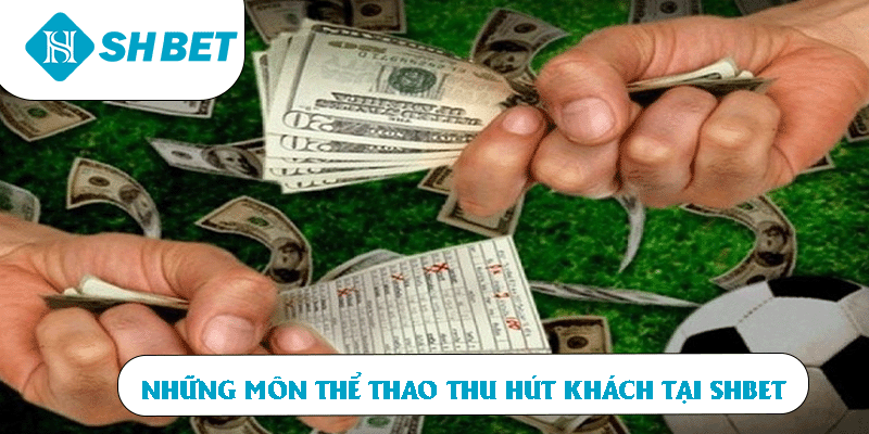 Những môn thể thao thu hút khách tại SHBET