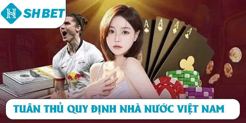 Tuân thủ quy định nhà nước Việt Nam